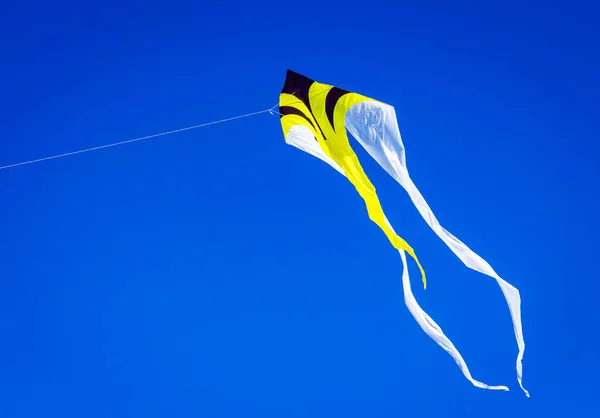 Kites in the clear blue sky in a free flight. — Stock Photo, Image