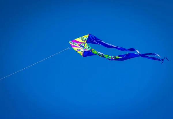 Kites in the clear blue sky in a free flight. — Stock Photo, Image