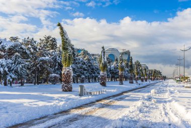 Batumi, Georgia. 10 Şubat 2020 - Karla kaplı set ve karla kaplı palmiye ağaçları