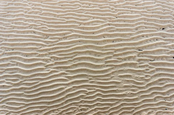 Beautiful ripple sand texture