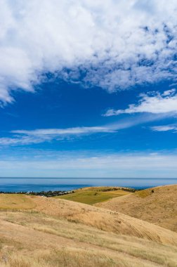 Sarı çim tepeler ile arka planda mavi okyanus