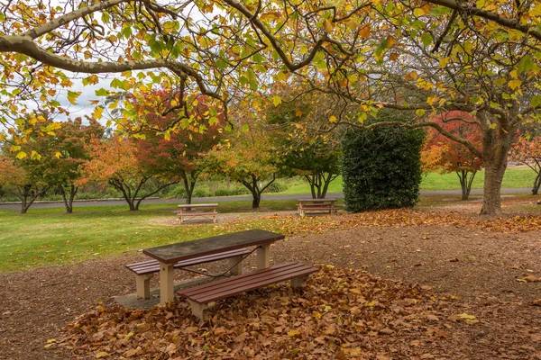 Paisaje otoñal con árboles coloridos y mesa de picnic — Foto de Stock