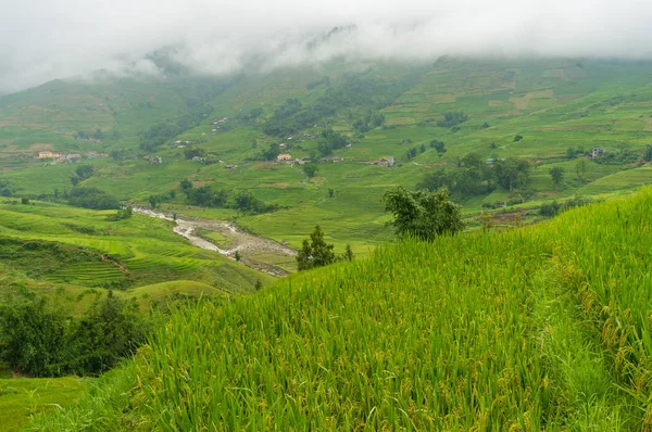 Vista desde la cima del valle de la montaña con terrazas de arroz — Foto de Stock