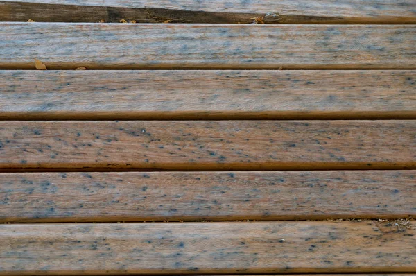 Tablones de madera dura dispuestos en lineas lindas — Foto de Stock