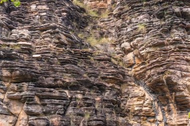 Old sandstone, rock texture with cracks and layers with some green grass 