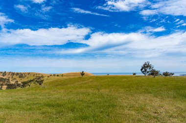Resimli çayırların tarım manzarası, güneşli bir günde tarla