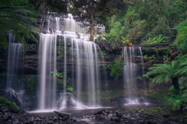Tropikal ormanda güzel bir şelale, doğa arka planı