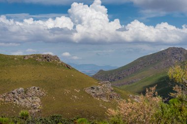 Summer mountain nature landscape with green fynbos and blue sky