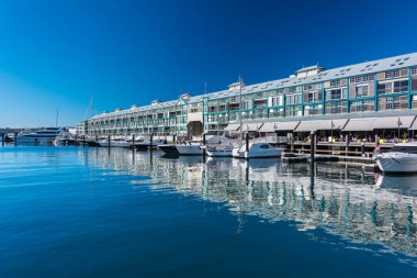 Resimli Woolloomooloo iskelesi. Beyaz yatları ve tekneleri var.