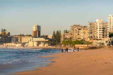 Cronulla beach with surfers near the ocean waters edge