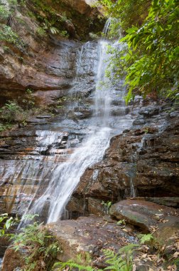 Beautiful waterfall in rainforest. Water flowing over rock