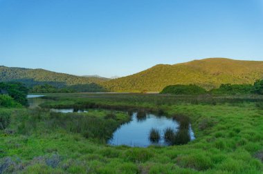 Forest covered mountains and valley with river