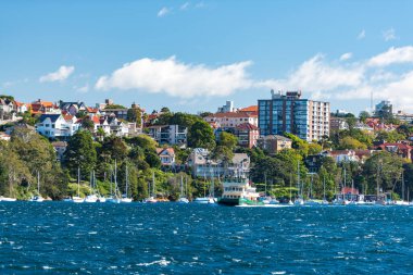 Ferry riding the Sydney Harbour in Cremorne Point suburb of Sydn