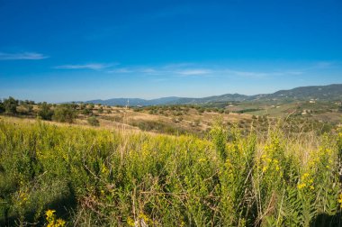 Countryside landscape with farmlands and distance hills