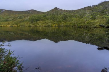 Yeşil ormanlı dağ manzarası ve yansımalı sakin bir göl.
