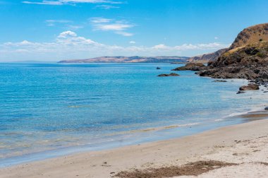 Sea coastline with sandy beach