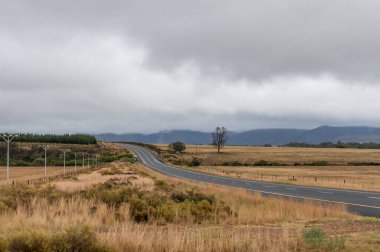 Empty countryside road landscape with fields and pastures 