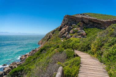 Wooden trek, path on a cliff with ocean on the background