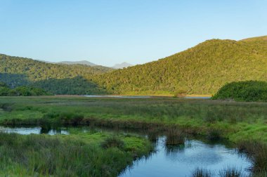 Forest covered mountains and valley with river