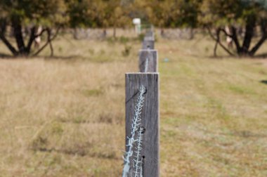 Dikenli telli çit. Özellik sınırı