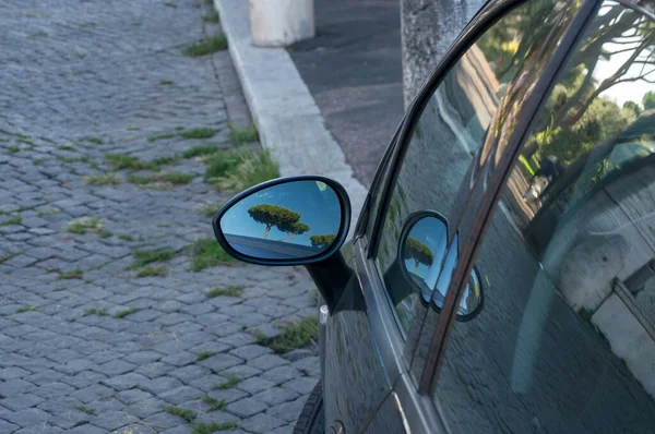 Tree reflected inside a side view car mirror — ストック写真