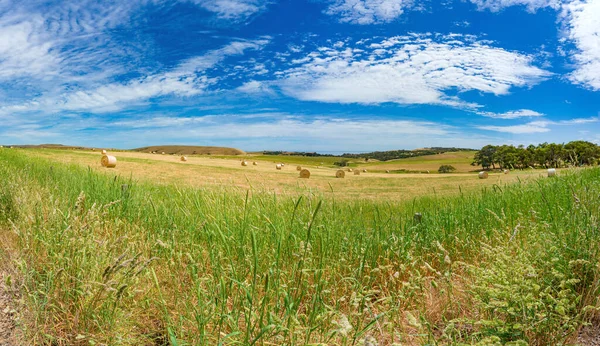 Panoramalandschaft ländlicher Felder mit runden Strohballen — Stockfoto