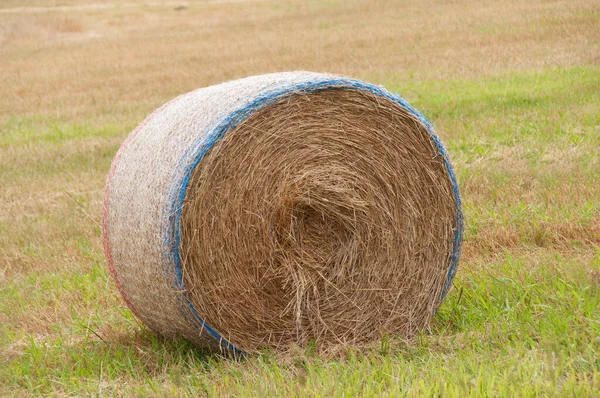 Close up of round straw bale on field — Stock Photo, Image