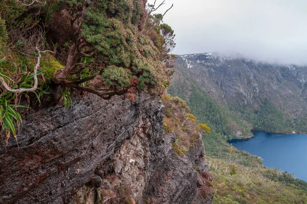 Високий гірський ландшафт з кам'яною текстурою, озером та альпійською рослинністю — стокове фото