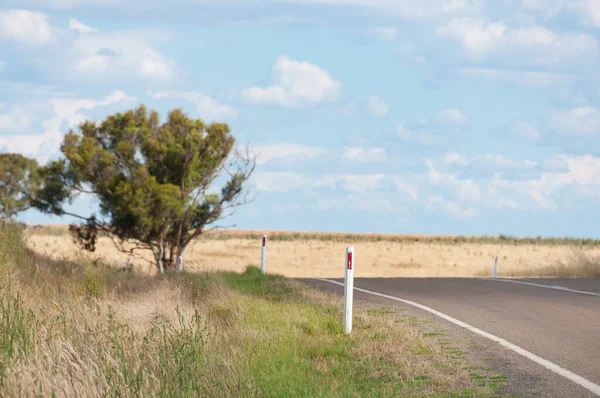 Countryside road landscape with dry yellow grass — Stock Photo, Image