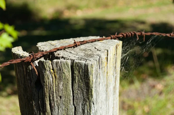 Barbed wire and log rural fence detail — Stock Photo, Image