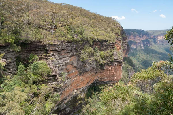 Vue panoramique sur les falaises rouges stratifiées couvertes d'eucalyptus dense — Photo