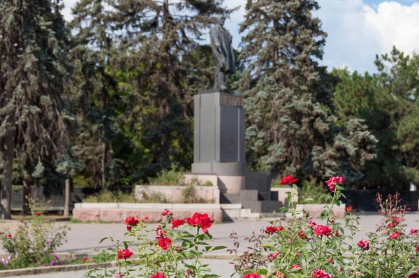 Rode roos bloemen met een standbeeld van communist Lenin op de backgro — Stockfoto
