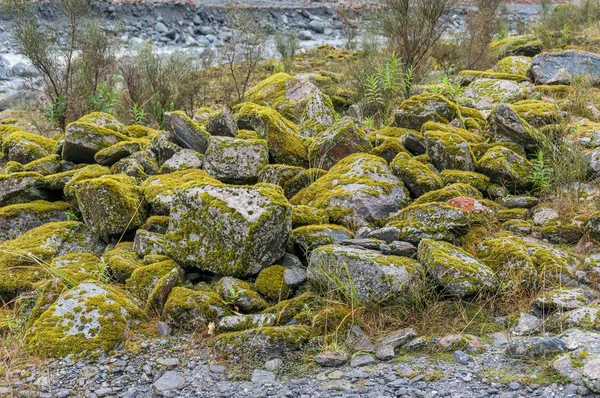 Различные породы, покрытые зеленым мхом и лишайником — стоковое фото
