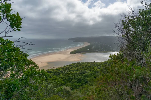 Krajina krásné oceánské pláže a lesa — Stock fotografie