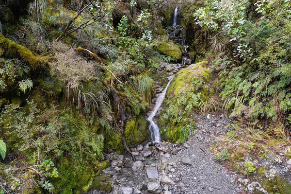 Primavera de montanha, cachoeira cercada com variedade de plantas — Fotografia de Stock