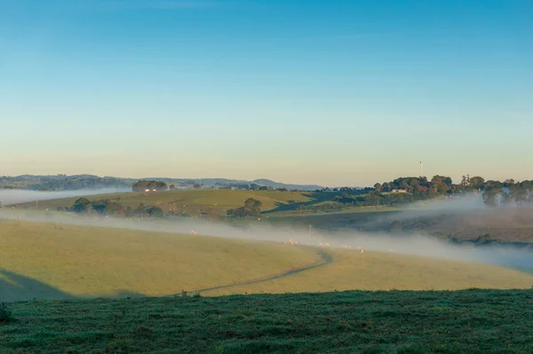 Morgonlandskap med gröna betesmarker och dimma — Stockfoto