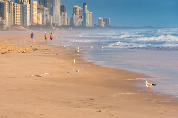 Amanecer en la playa con gente no identificable corriendo y haciendo deporte — Foto de Stock