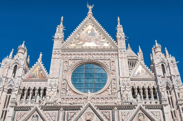 Close up of architectural details on facade of Siena cathedral — 스톡 사진