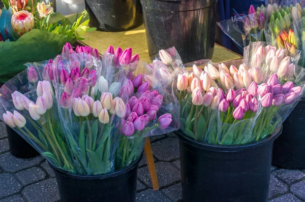 Bloemenmarkt met frisse roze tulpenboeketten in emmers — Stockfoto