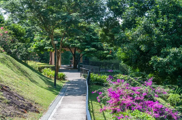 Camino a la casa de verano, pabellón en el parque tropical — Foto de Stock