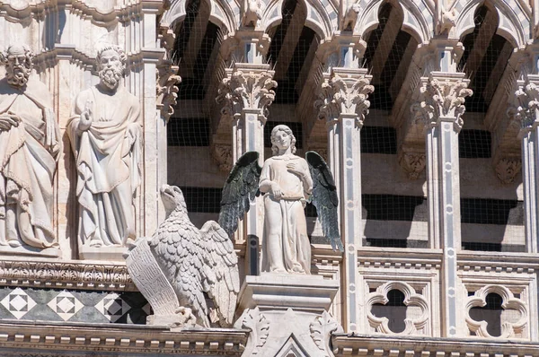 Close up of architectural details on facade of Siena cathedral — Stock Photo, Image