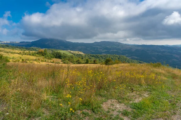 Colorful countryside nature background landscape with mountains — Stock Photo, Image