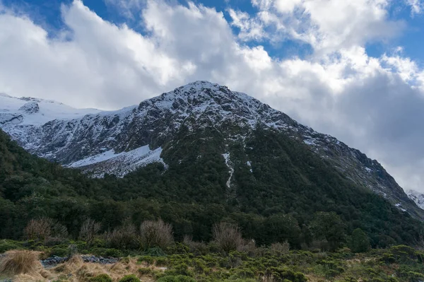 Nature landscape with snowcapped mountain and green forest — Stock Photo, Image