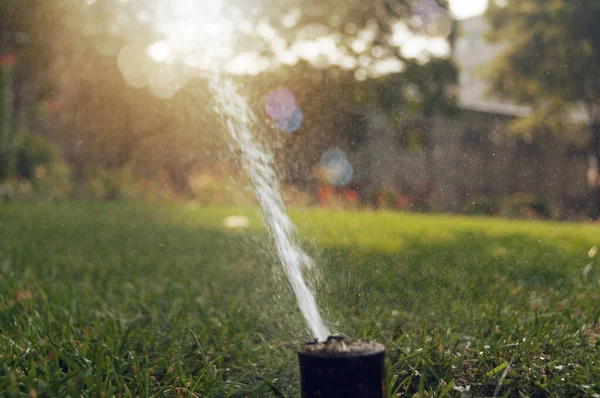 Water sprinkler spraying water on a green lawn — Stok fotoğraf
