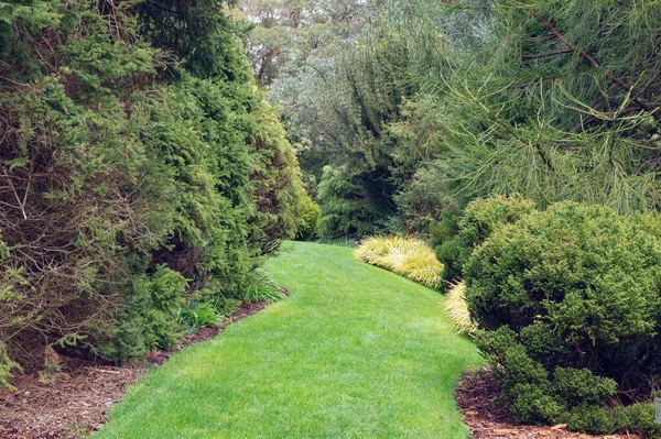 庭、公園内の新鮮な緑の草の足のパス。自然景観、背景 — ストック写真