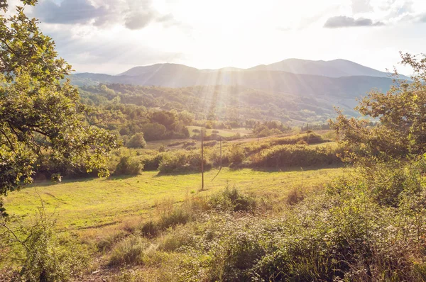 Countryside landscape with green grass and mountains in the dist — Stock Photo, Image