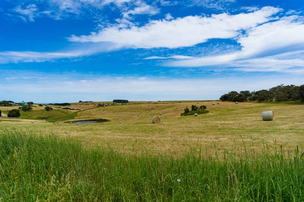 Schöne ländliche Landschaft mit Strohballen und Teich — Stockfoto