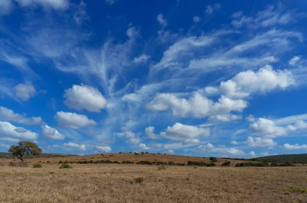 Spektakuläre afrikanische Savannenlandschaft mit epischem Himmel — Stockfoto