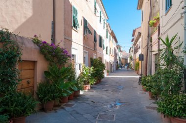 Street lined with plants in flowerpots in small Italian town of 