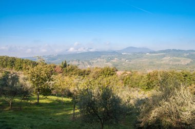 Beautiful landscape with olive trees and distant mountains. Tosc